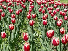 -长春公园(普阳街道)