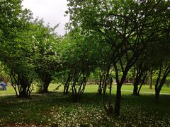 -南京航空航天大学(明故宫校区)