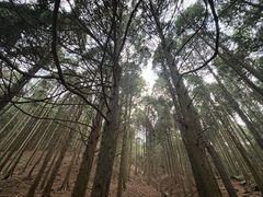 -含鄱口