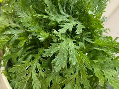 -芦月轩羊蝎子(太平桥店)