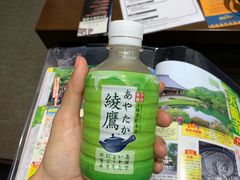 -飞天翼龙