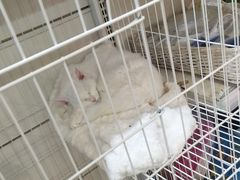 -山东嘉汇文化用品有限公司张店凤凰国际分公司(新村西路店)