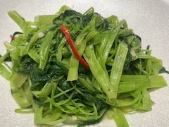 -顺德了能馆(虎门店)