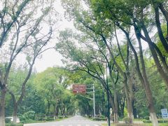 -东平国家森林公园
