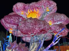 -淄博花灯齐彩城