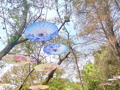 -人民公园(罗湖区)