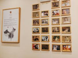 -盘子女人坊古装写真摄影(天津总店)