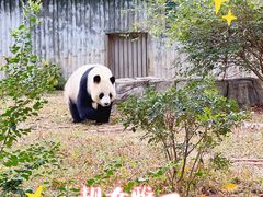 -广州动物园