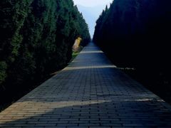 -秦始皇帝陵博物院-丽山园