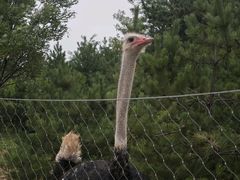 -山西乌金山旅游区