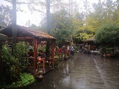 -青城甲(青城山店)