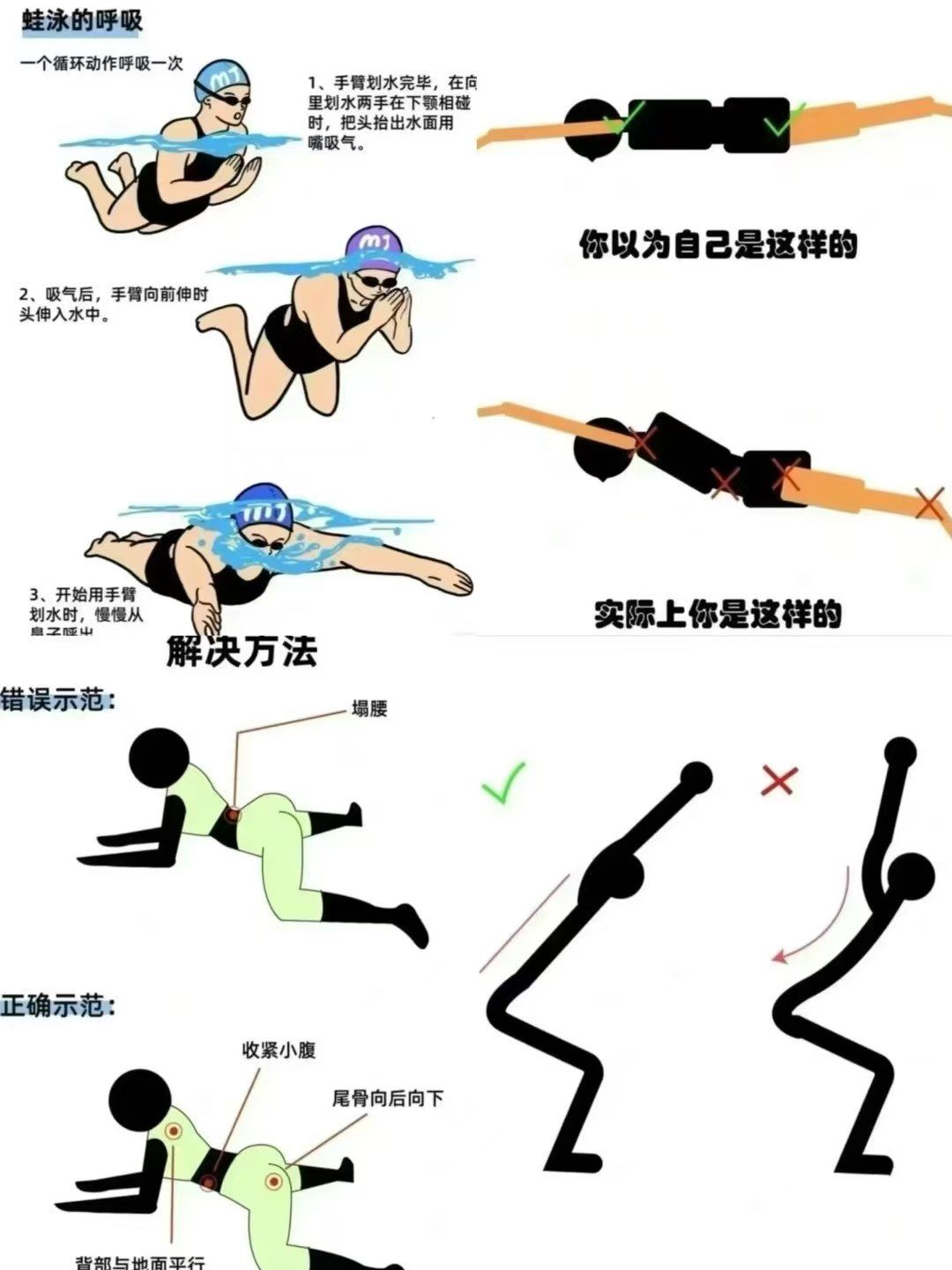 蛙泳记住下面这个口诀🤗让你轻松游起来?