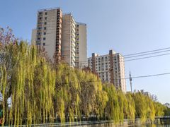 -西清公园