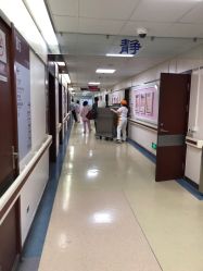 -复旦大学附属妇产科医院(杨浦院区)