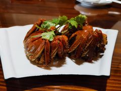 -呼吸森林·生态农庄农家乐私房菜