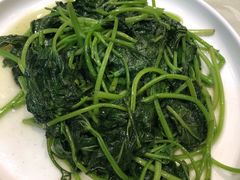 生炒地瓜叶-八闽饭店闽南小镇(铁西店)