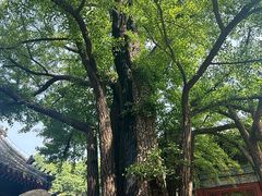 -红螺寺