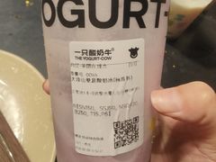 -一只酸奶牛(八一路店)