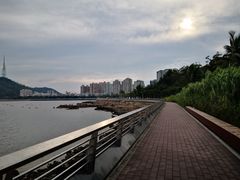 -野狸岛