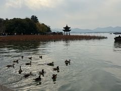 -西湖游船