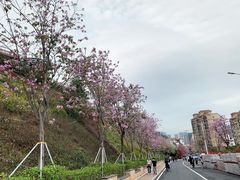-小南山公园