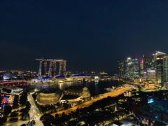 -新加坡瑞士史丹福酒店