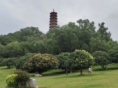 -红花山公园
