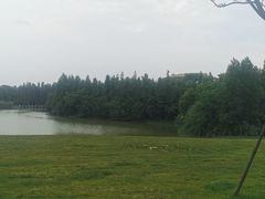 -艾溪湖湿地公园