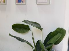 -天真蓝照相馆(宁波来福士店)
