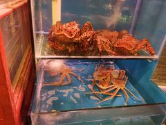 -吉友粥底火锅(方斜路店)