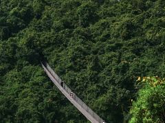 -三亚亚龙湾人间天堂鸟巢度假村