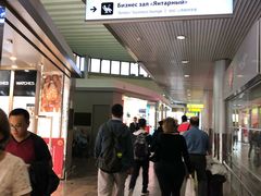 -谢列梅捷沃国际机场