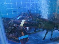 -鼓歌海鲜舫·手抓海鲜(大学城店)