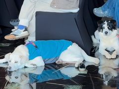 -九木杂物社(运河上街店)