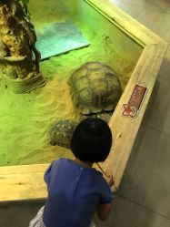 -未来动物城主题公园(正弘城店)
