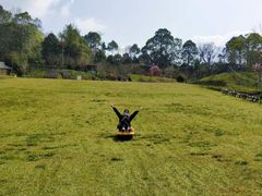 -窦圌山风景区