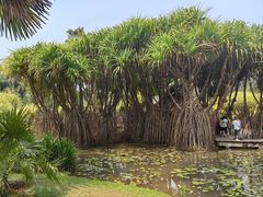 -中国科学院西双版纳热带植物园