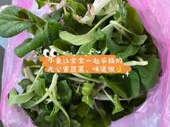 -小象托育