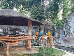 -清迈夜间动物园