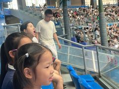 -海合安成都极地海洋公园