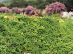 -国家植物园