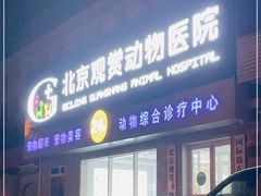 -北京观赏动物医院·24小时大型综合·猫专科·异宠专科