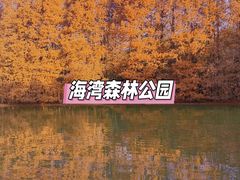 -上海海湾国家森林公园