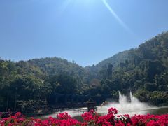 -西双版纳原始森林公园