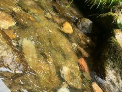 -西岭雪山大飞水景区