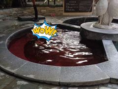 -碧水湾温泉