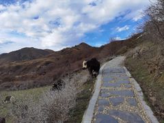 -墨石公园景区