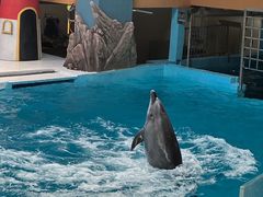 -锦艺城海洋馆