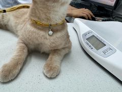 -心仪动物医院·牙专科·肿瘤·心脏科(西客站院)