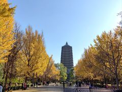 -玲珑塔公园